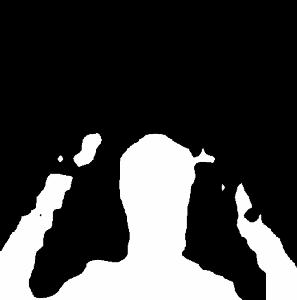 input mask 01