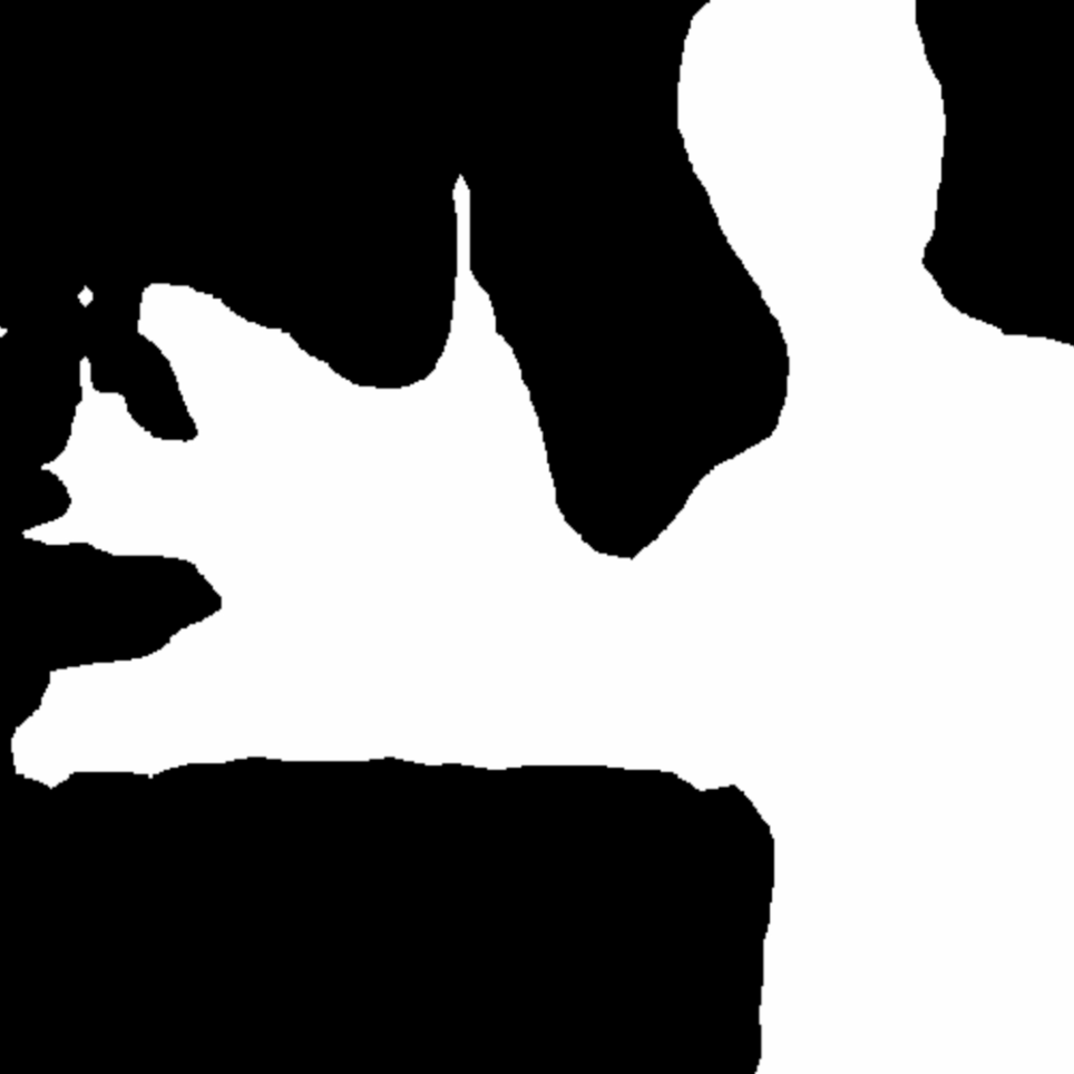 input mask 03