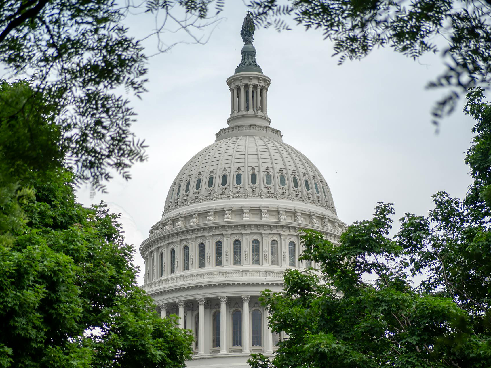 United States Capitol building in Washington DC